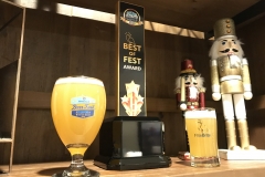 FliteBrite - BrrrFest 2020 - 22